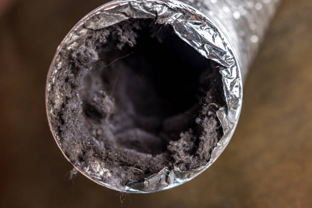 Best Air Duct Cleaning Company Near Me  in Sun Valley, PA