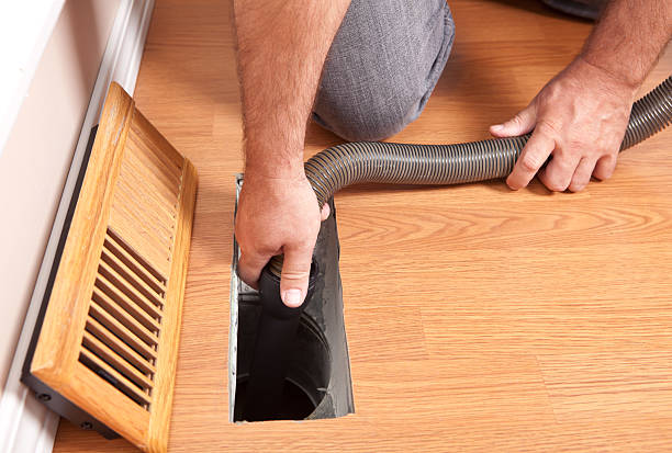 Best Air Duct Mold Removal  in Sun Valley, PA