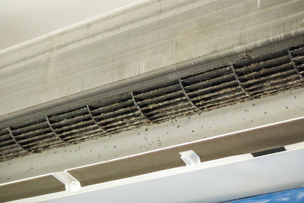 Best Duct Cleaning for Homes  in Sun Valley, PA